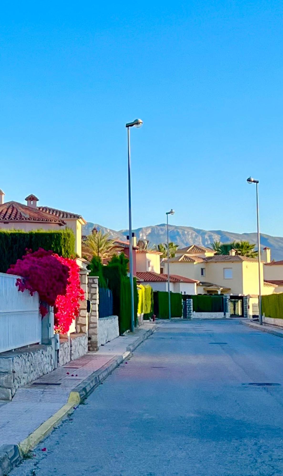 Villa Con Jardin En Oliva Nova Golf A 100M De La Playa Εξωτερικό φωτογραφία